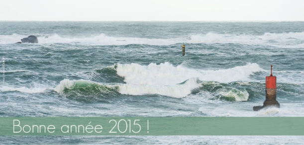 Bonne année 2015-WP
